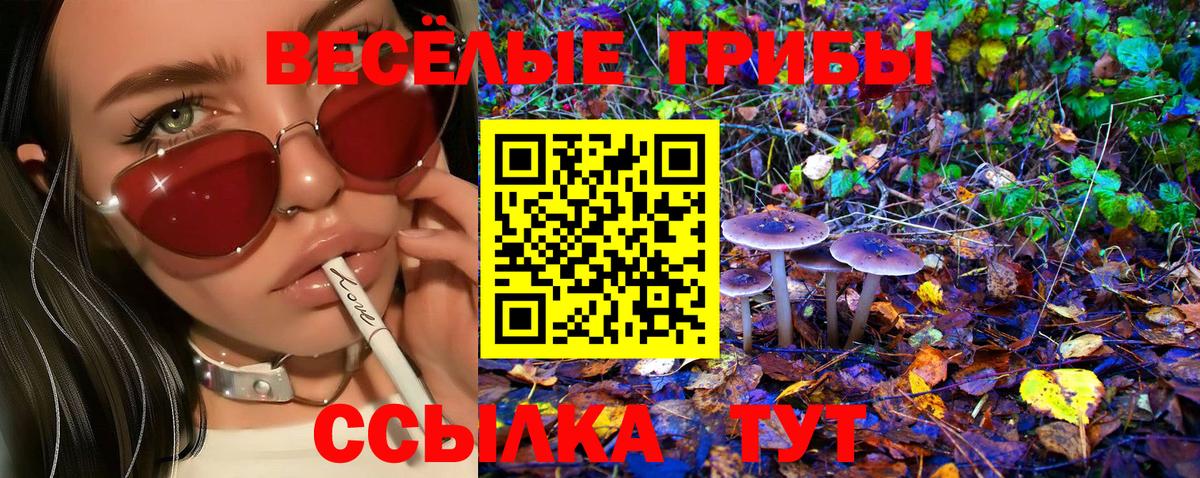 Псилоцибиновые грибы Psilocybine cubensis Прокопьевск