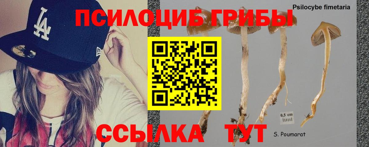 Каннабис  НБОМе  Кокаин  Мефедрон кристаллы  Прокопьевск  APVP СОЛЬ кристаллы  Вход с VPN 
